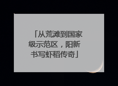 从荒滩到国家级示范区，阳新书写虾稻传奇